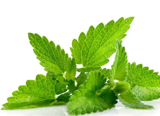 peppermint