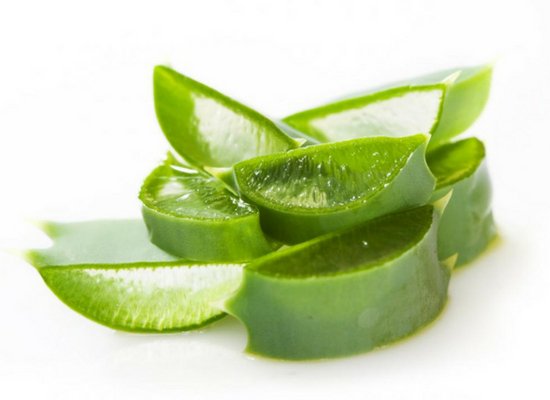 Aloe vera