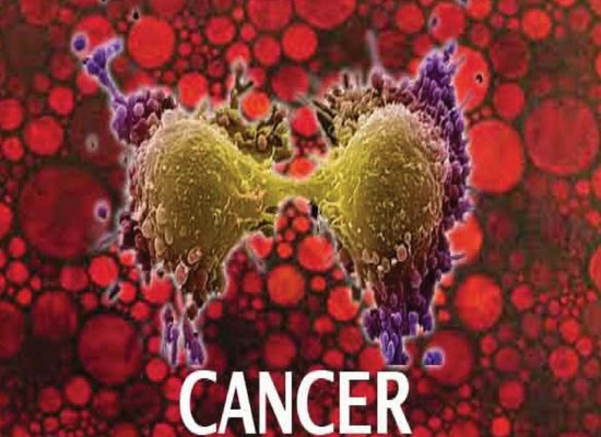 Green tea fights cancer