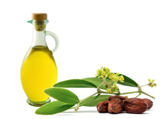 Jojoba oil 