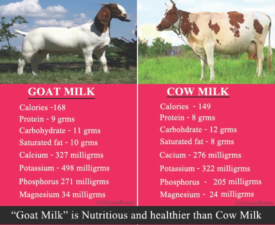 goat milk and cow milk