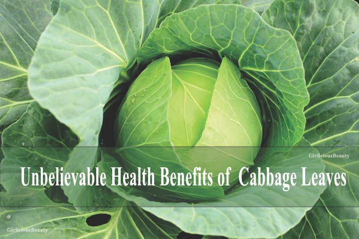 Cabbage Leaves