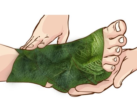 Cabbage leaves for Joint pains
