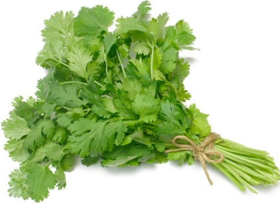 Coriander leaves