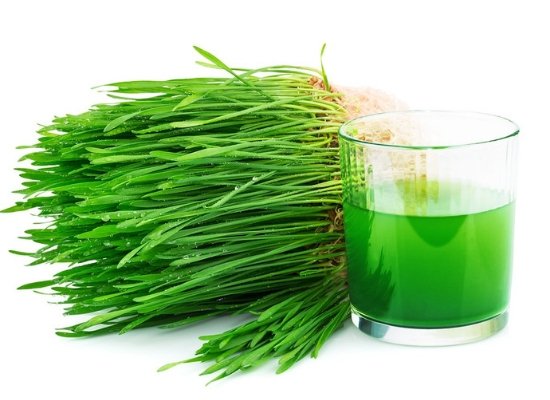 Wheat grass juice