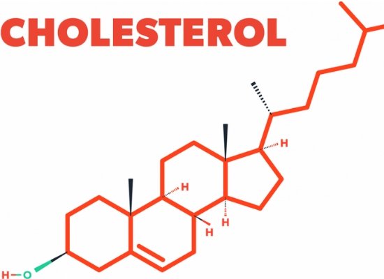 cholesterol