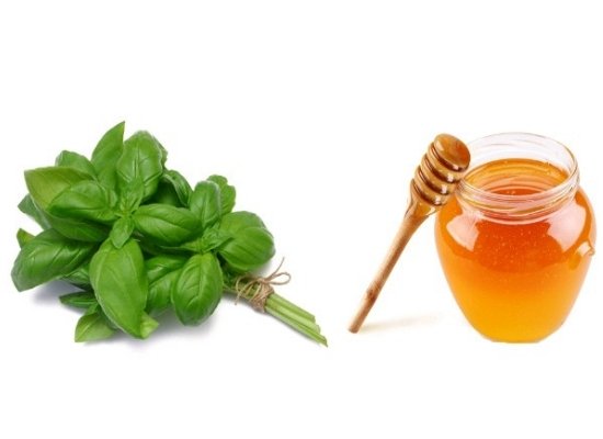 Basil leaves with honey