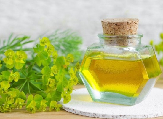 Cypress oil