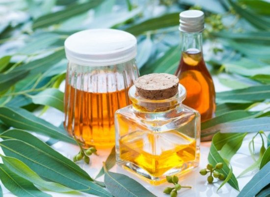 Eucalyptus oil