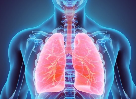 Keeps lungs clean