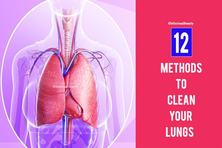 LUNGS1