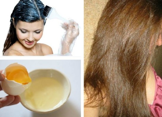Dry  hair egg pack