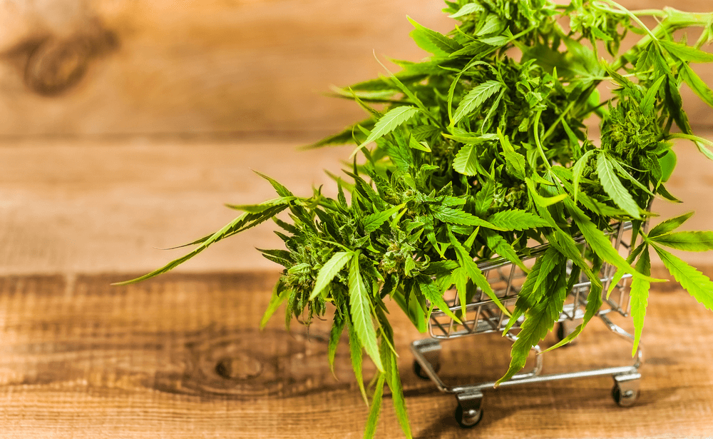 Cannabis Edibles | A Better Alternative to Smoking & Vaping