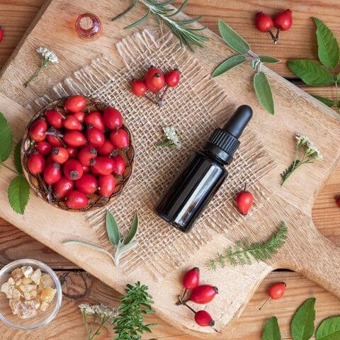 Benefits of Rosehip Oil For Your Skin