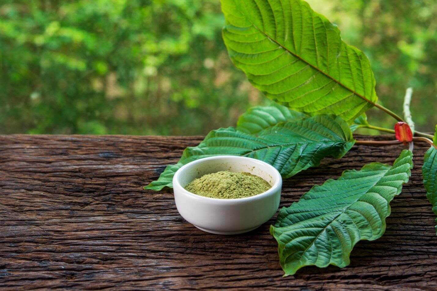 Top 7 Health Benefits of Kratom Leaves
