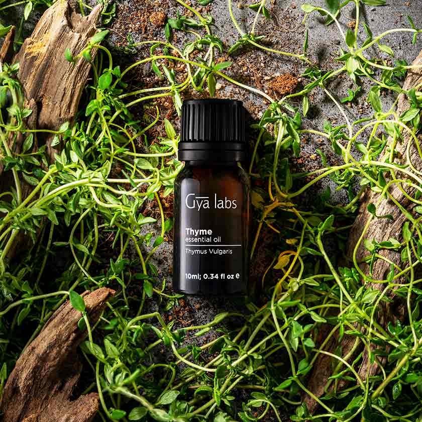 Thyme Oil Uses.