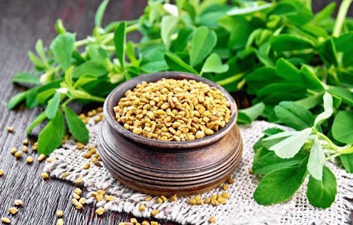 Fenugreek1