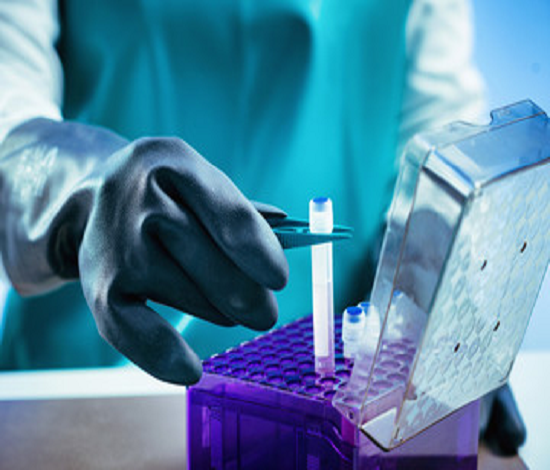 Cryopreservation