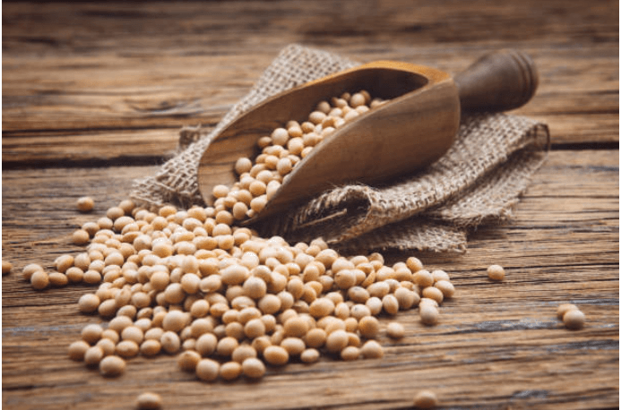 Sources of Protein