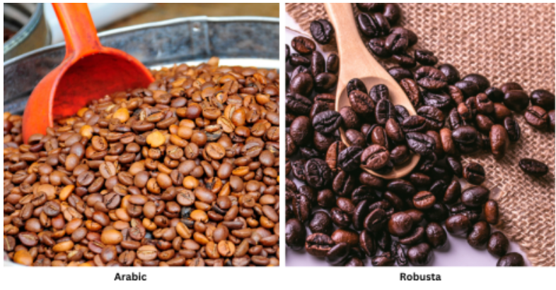 Arabica vs. Robusta