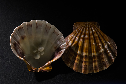 Pearl Etiquett